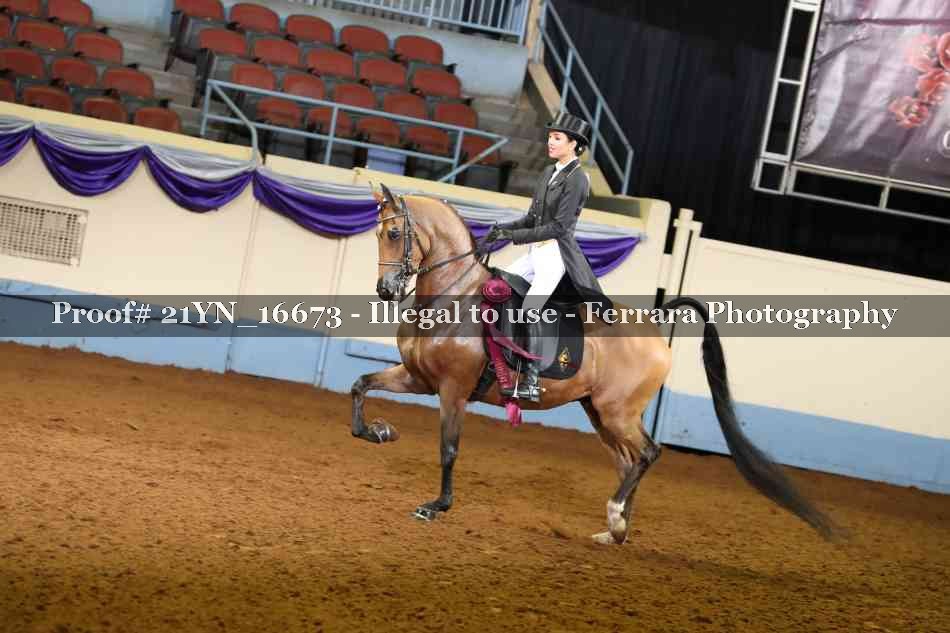 Proof 21YN_16673
