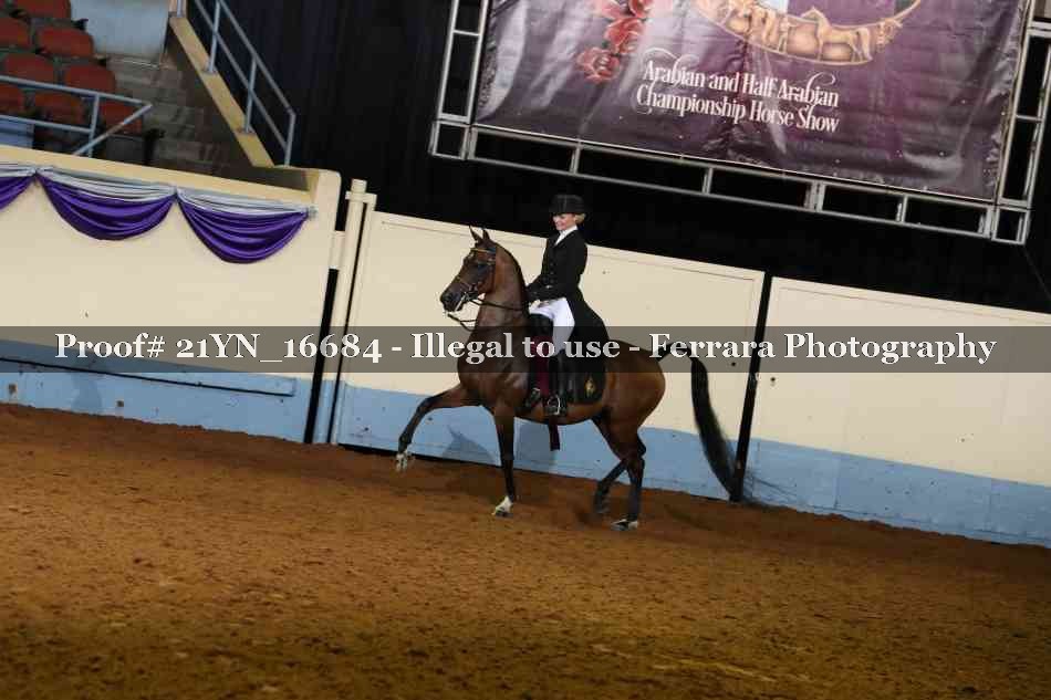Proof 21YN_16684