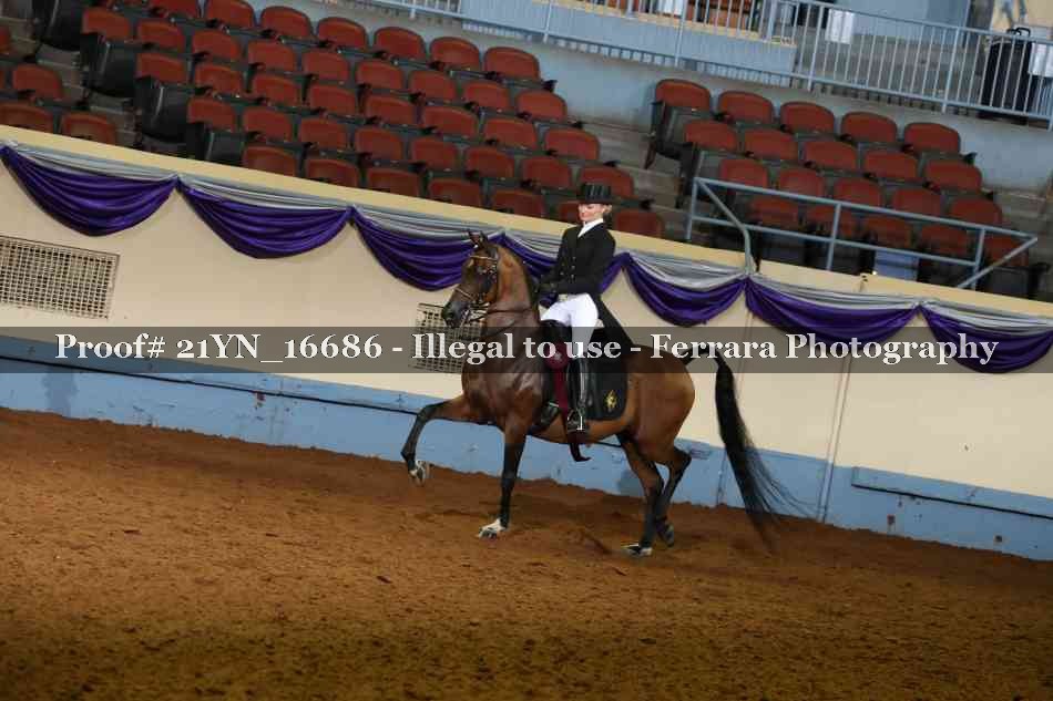 Proof 21YN_16686