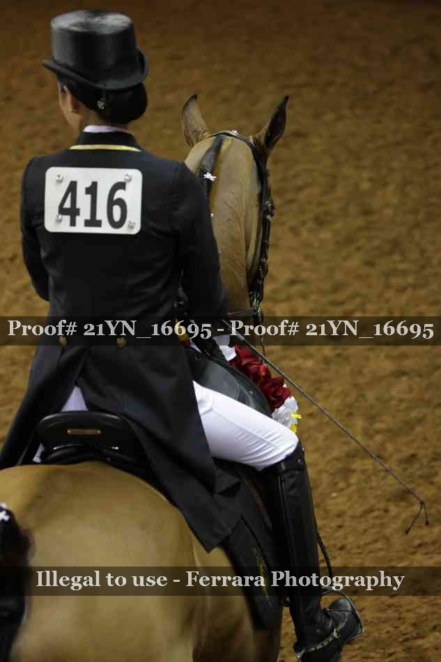 Proof 21YN_16695
