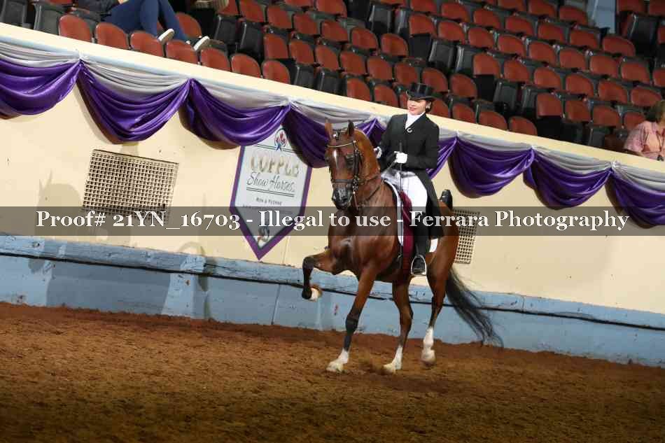 Proof 21YN_16703