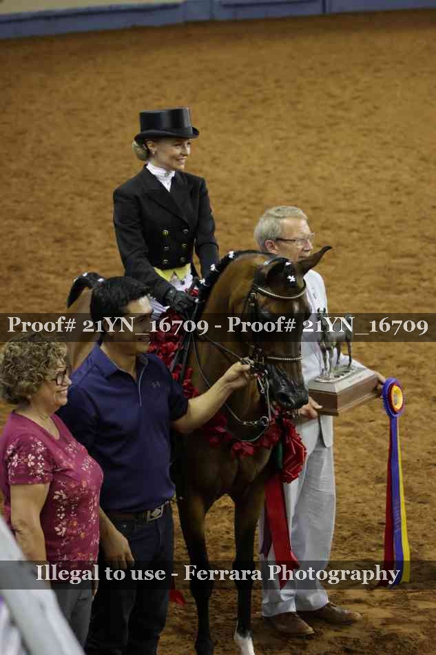Proof 21YN_16709
