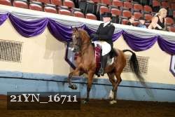 21YN_16711 proof