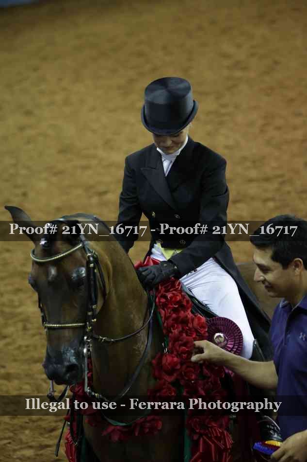 Proof 21YN_16717