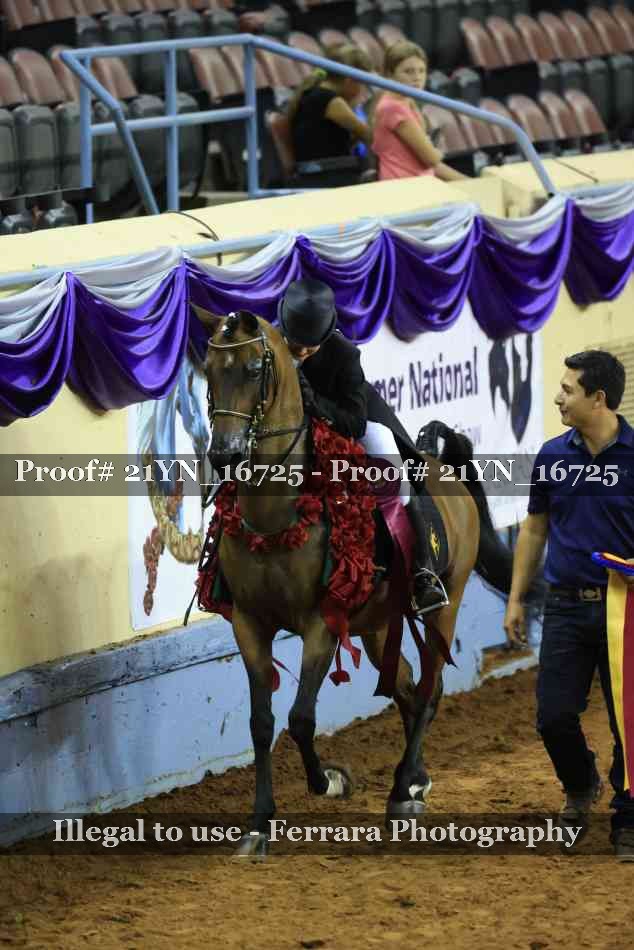 Proof 21YN_16725