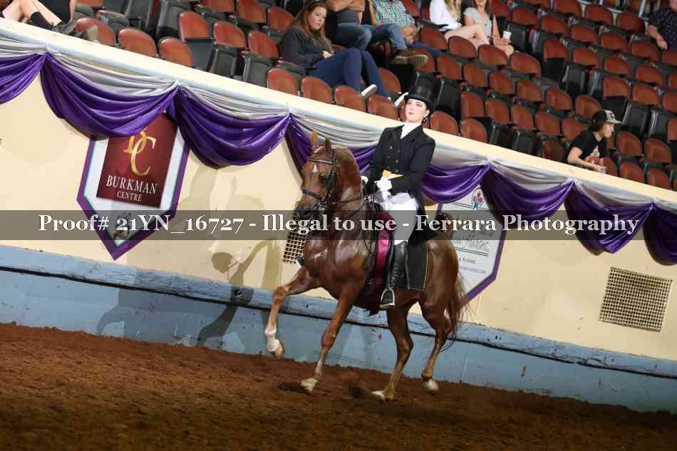 Proof 21YN_16727