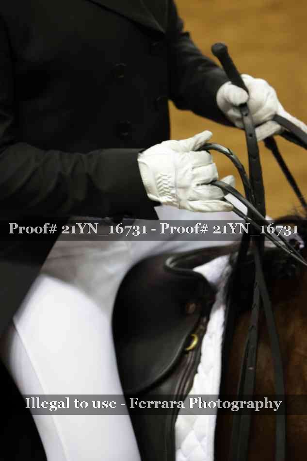Proof 21YN_16731