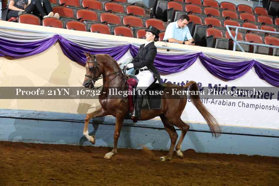 Proof 21YN_16732