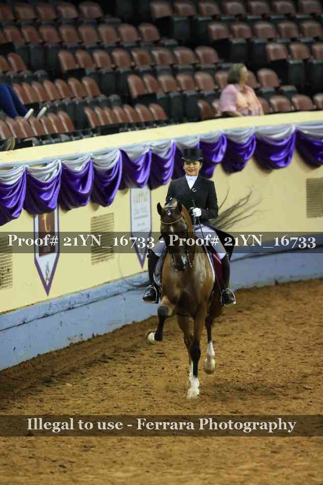 Proof 21YN_16733