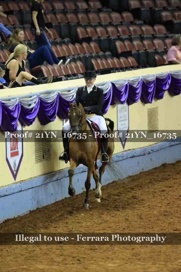 Proof 21YN_16735
