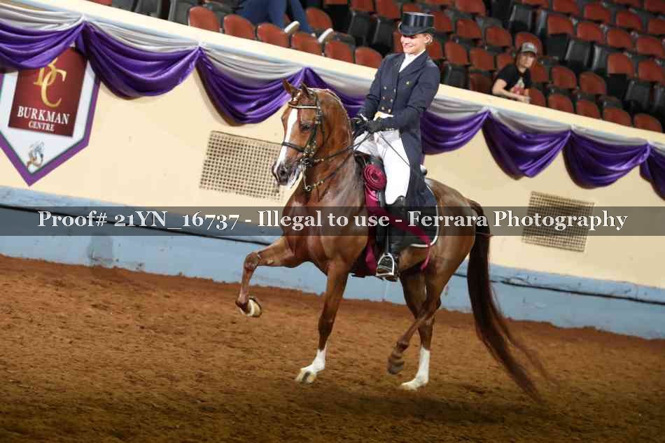 Proof 21YN_16737