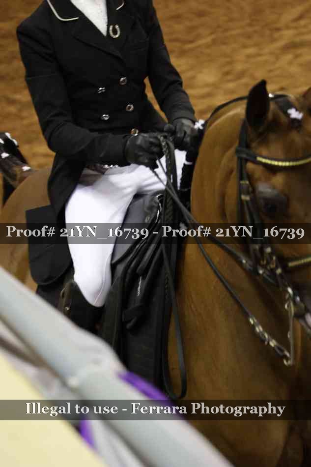 Proof 21YN_16739