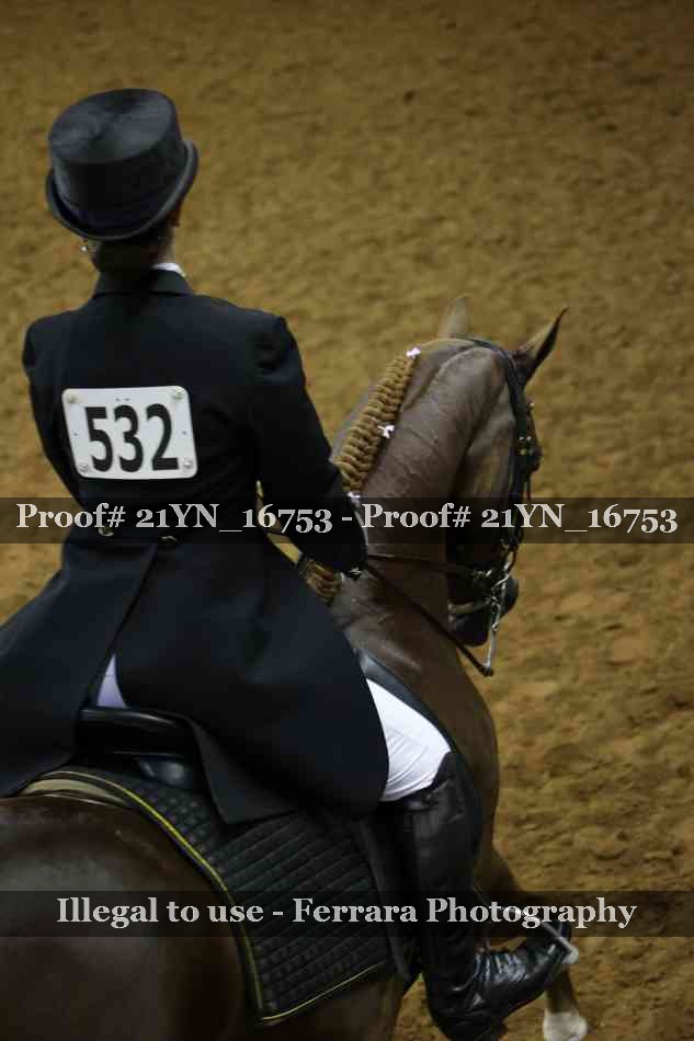 Proof 21YN_16753