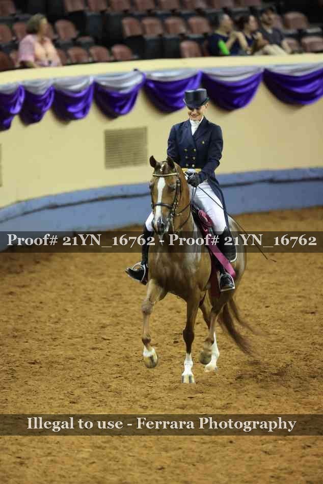 Proof 21YN_16762