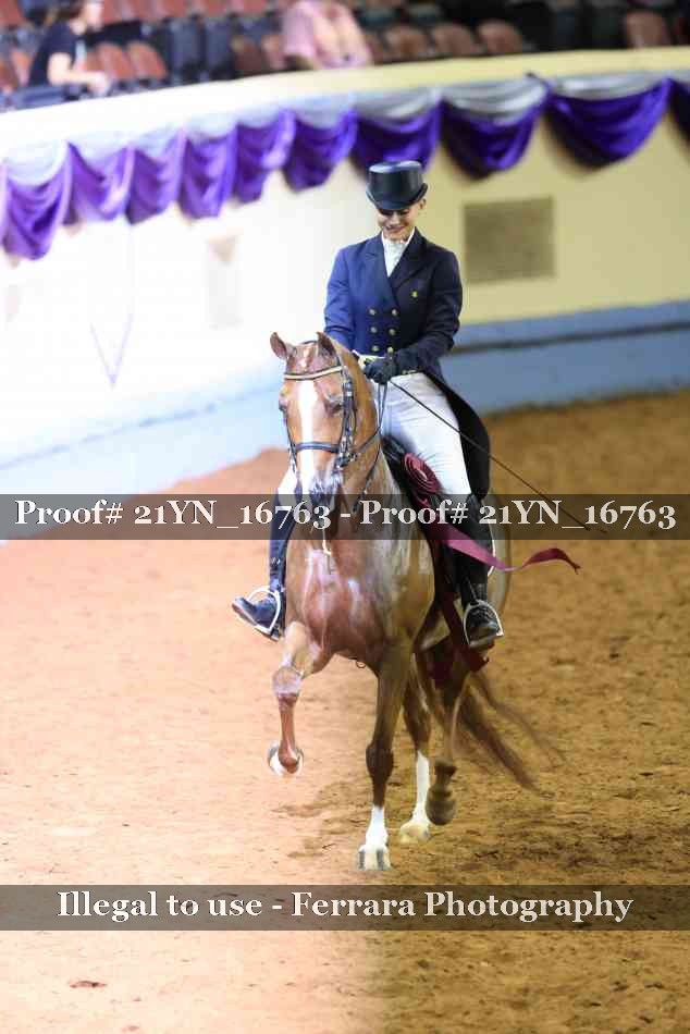 Proof 21YN_16763