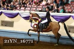 21YN_16771 proof