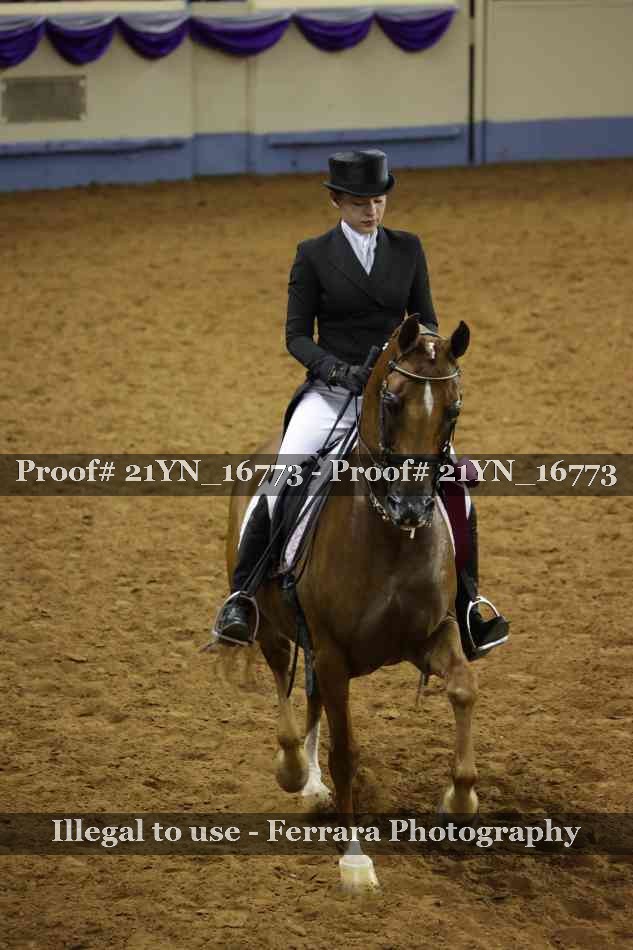 Proof 21YN_16773