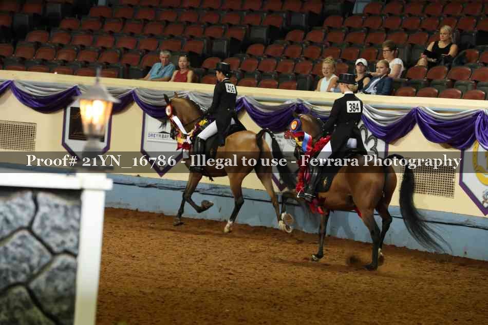 Proof 21YN_16786
