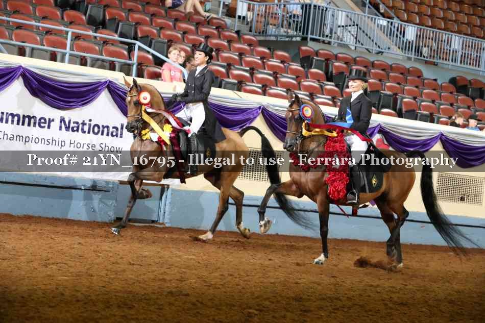 Proof 21YN_16795