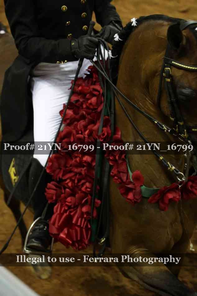 Proof 21YN_16799
