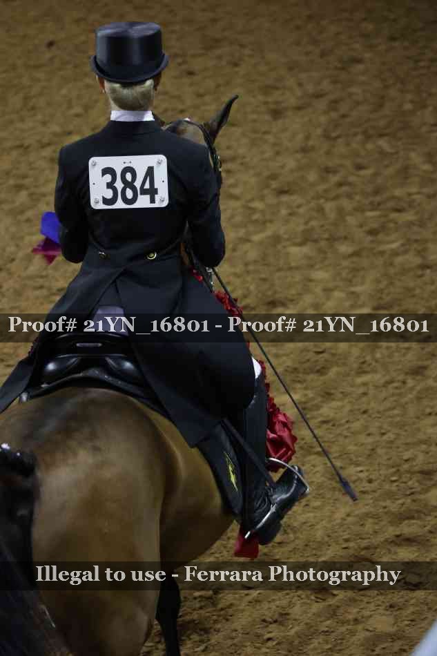 Proof 21YN_16801