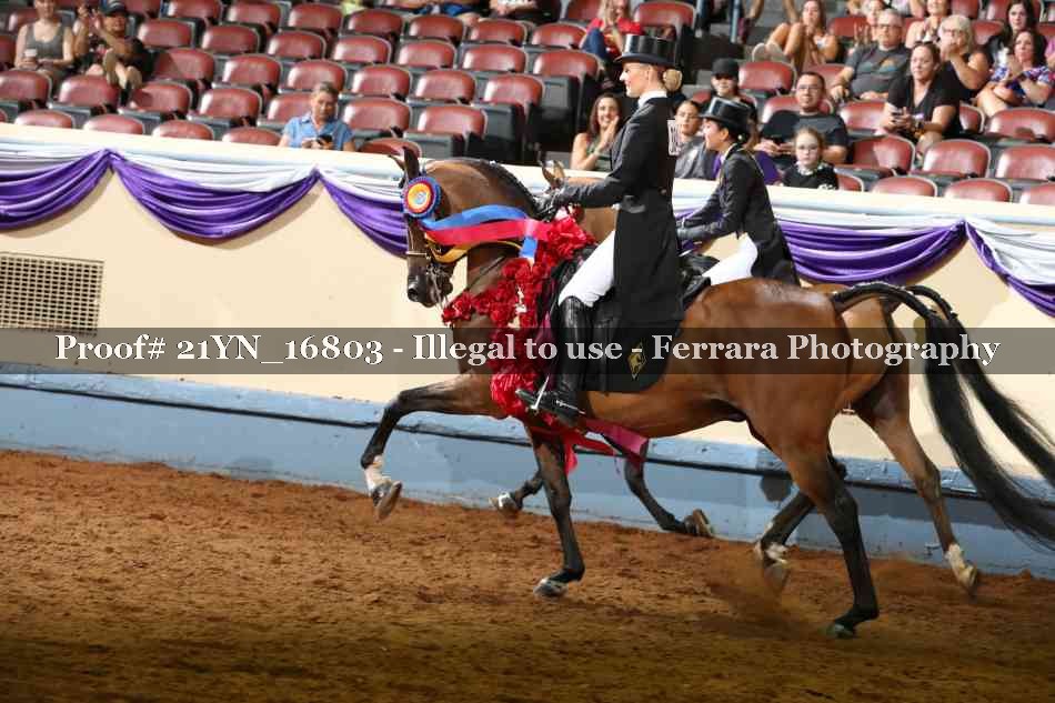 Proof 21YN_16803