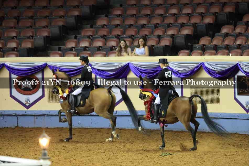 Proof 21YN_16809