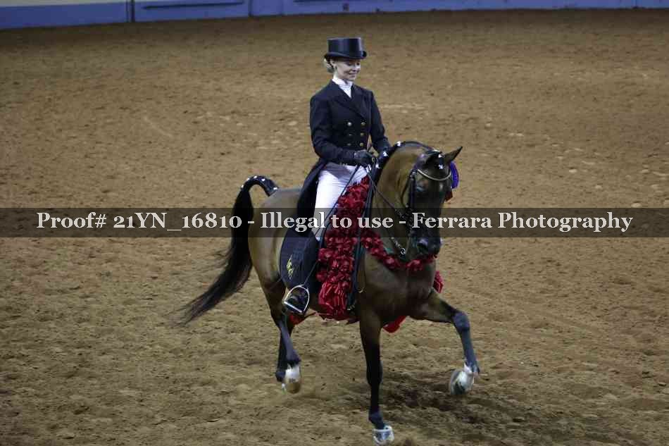 Proof 21YN_16810