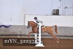 21YN_52257 proof