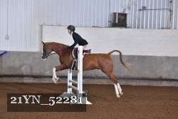 21YN_52281 proof