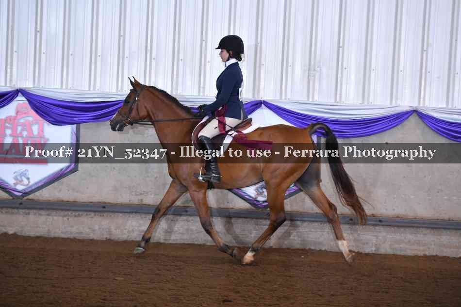 Proof 21YN_52347
