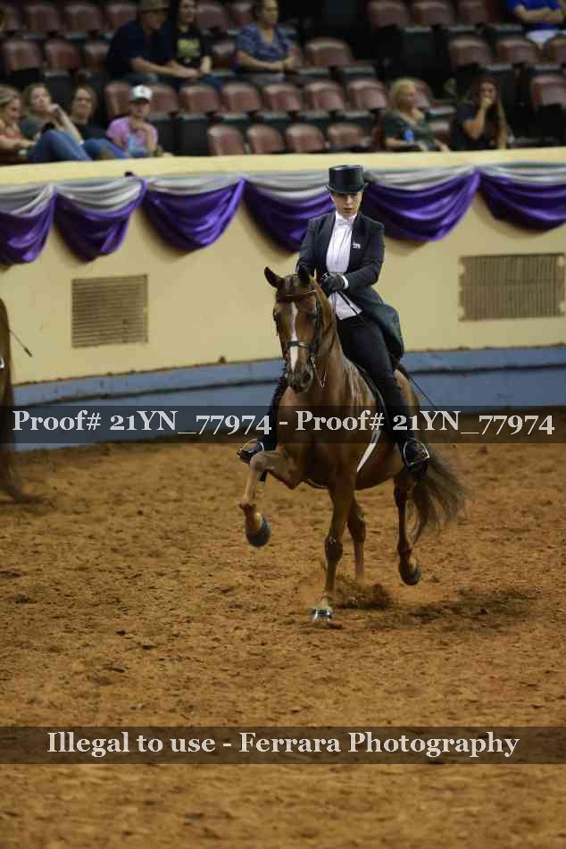 Proof 21YN_77974