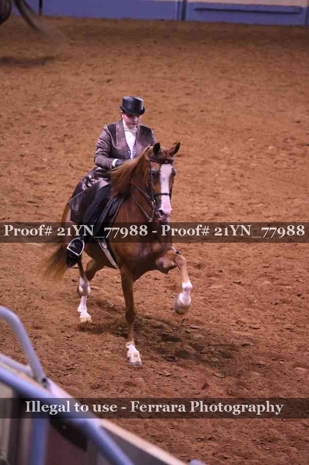 Proof 21YN_77988