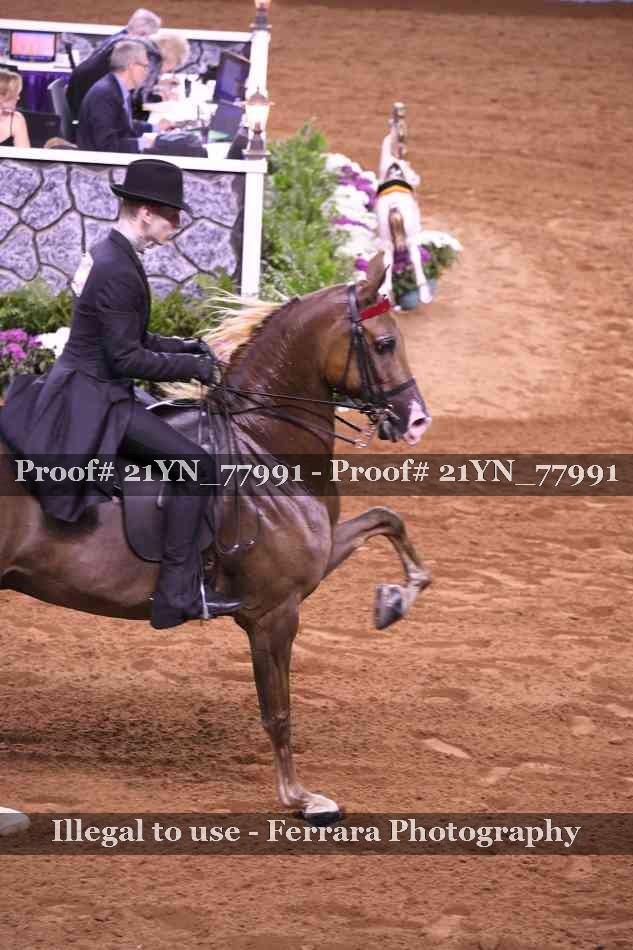 Proof 21YN_77991