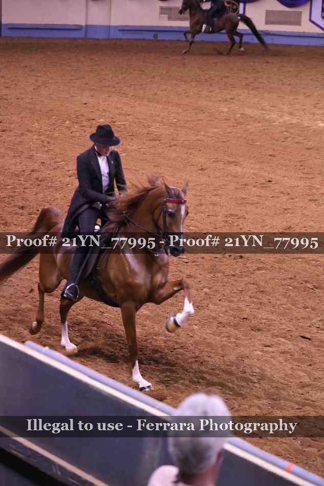 Proof 21YN_77995