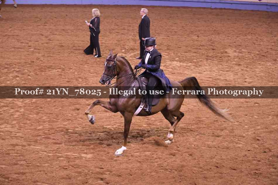 Proof 21YN_78025