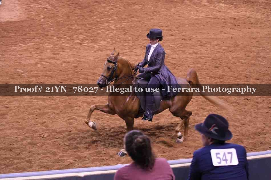 Proof 21YN_78027