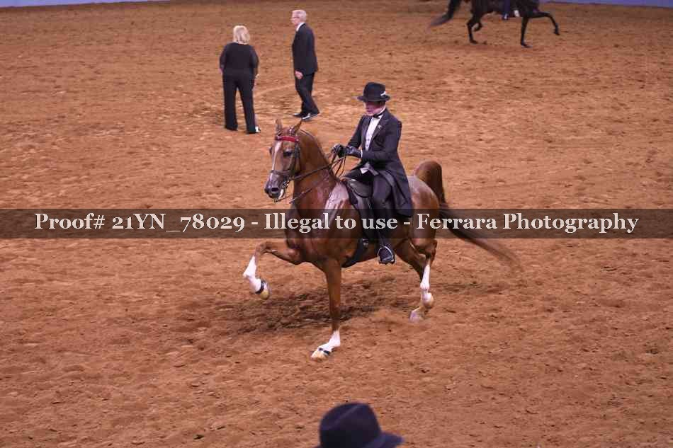 Proof 21YN_78029