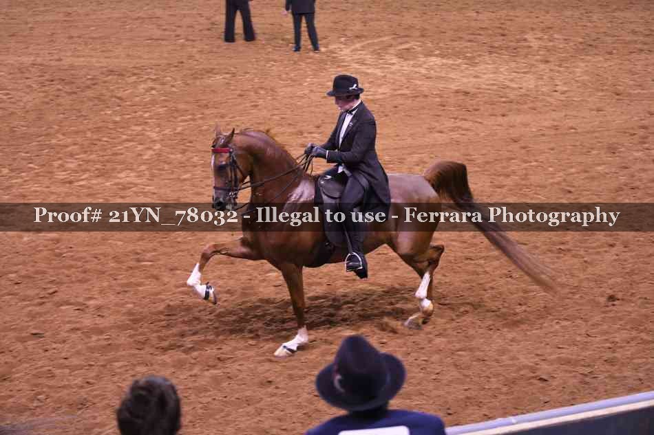 Proof 21YN_78032