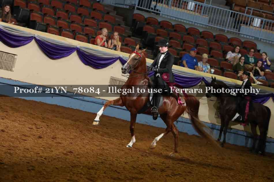 Proof 21YN_78084