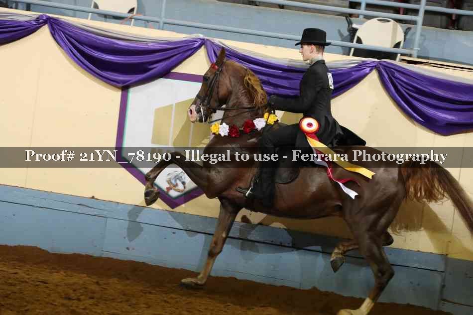 Proof 21YN_78190