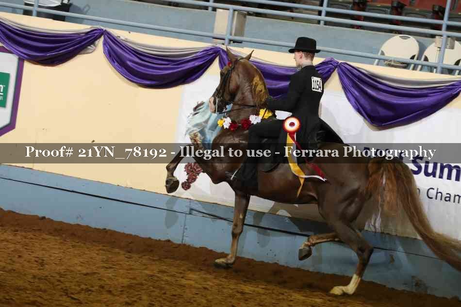 Proof 21YN_78192