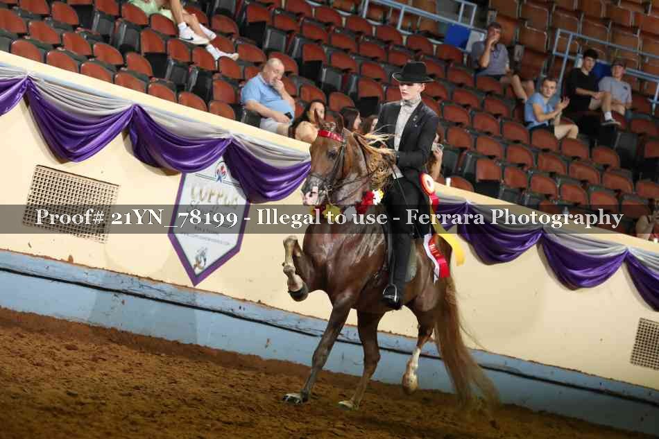 Proof 21YN_78199