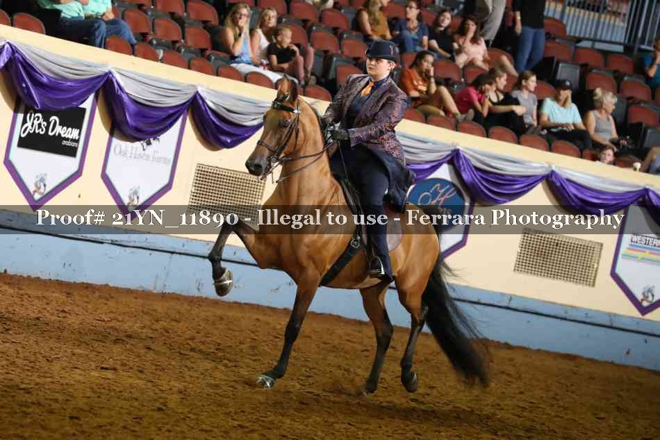 Proof 21YN_11890