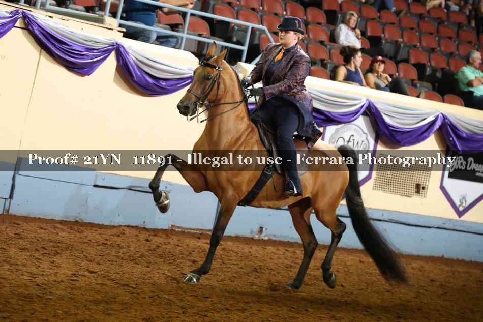Proof 21YN_11891