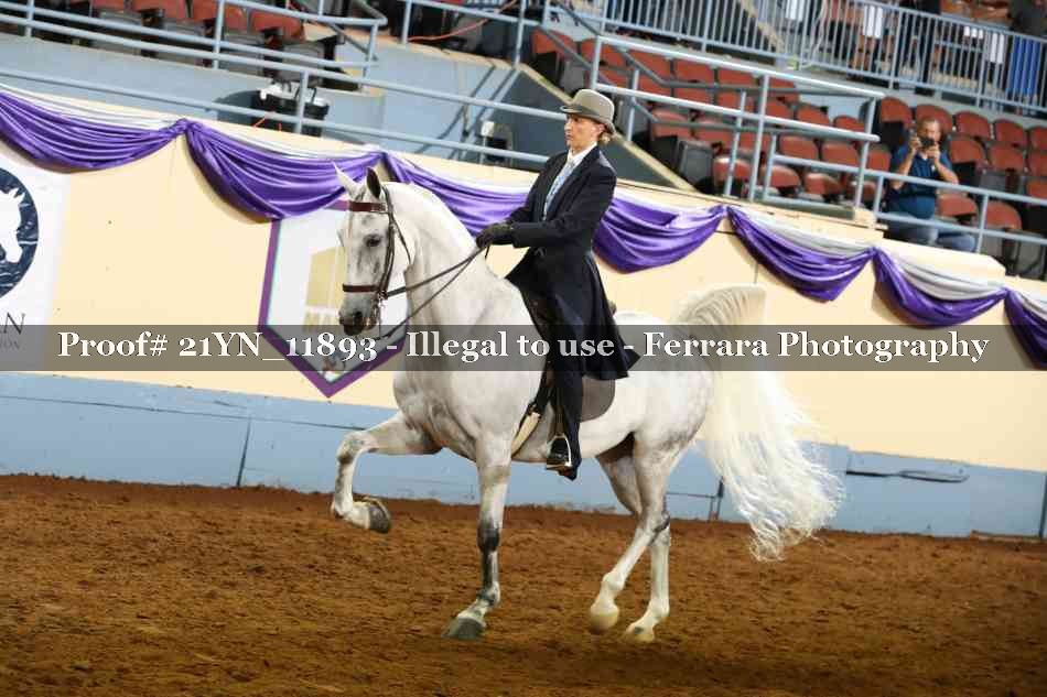Proof 21YN_11893