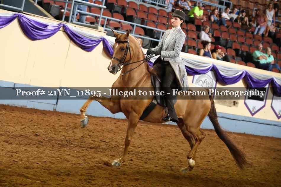 Proof 21YN_11895