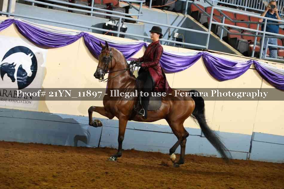 Proof 21YN_11897
