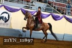 21YN_11897 proof