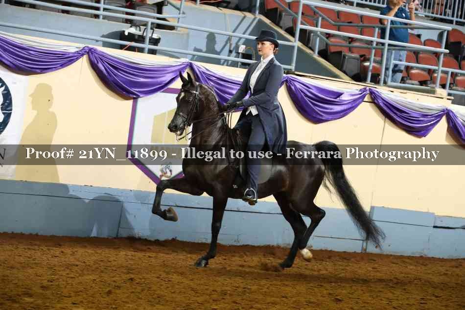 Proof 21YN_11899